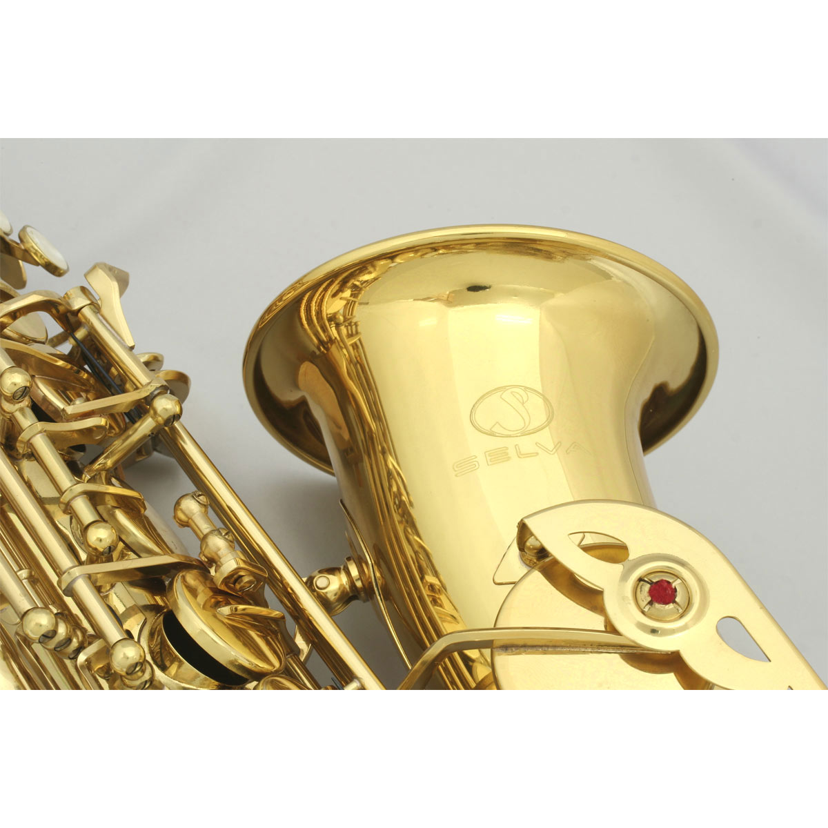 楽天市場】SELVA / 初心者向けアルトサックス入門セット Alto Sax SAS
