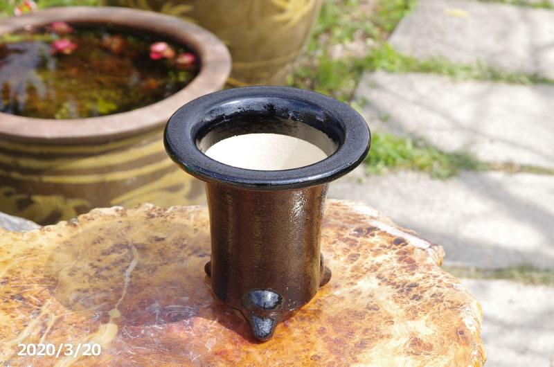 楽天市場】※窯元直送 愛楽園 万年青鉢 6号 ☆サナサービス☆【京楽鉢