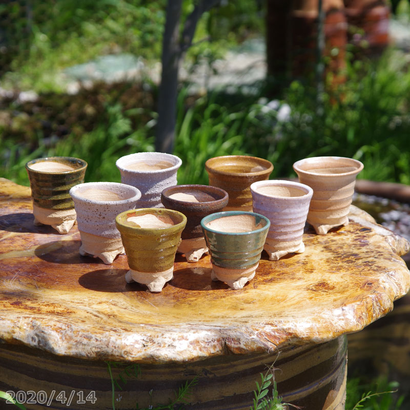 楽天市場】植木鉢 横田秀邦作 ミニ盆栽鉢(直径5cm)【山野草鉢 多肉植物