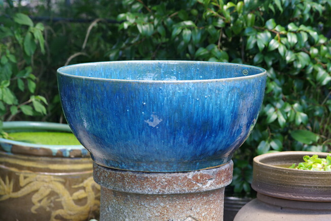 信楽焼 ブルーガラス 手作りメダカ鉢 49㌢水連鉢 ビオトープ めだか鉢