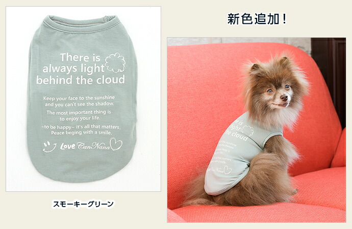 楽天市場】CanNana 【きゃんナナ】適温キープ・メッセージTシャツ 5L