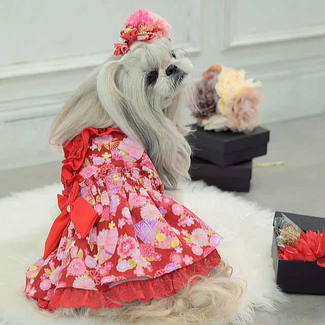 楽天市場】新作 ドッグウェア 犬服 着物風 秋冬【きゃんナナ】花柄和