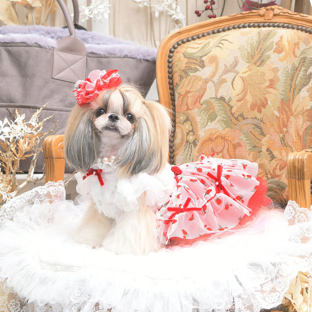 luxebirdieリュクスバーディ ビッシーワンピース 新品 Lサイズ