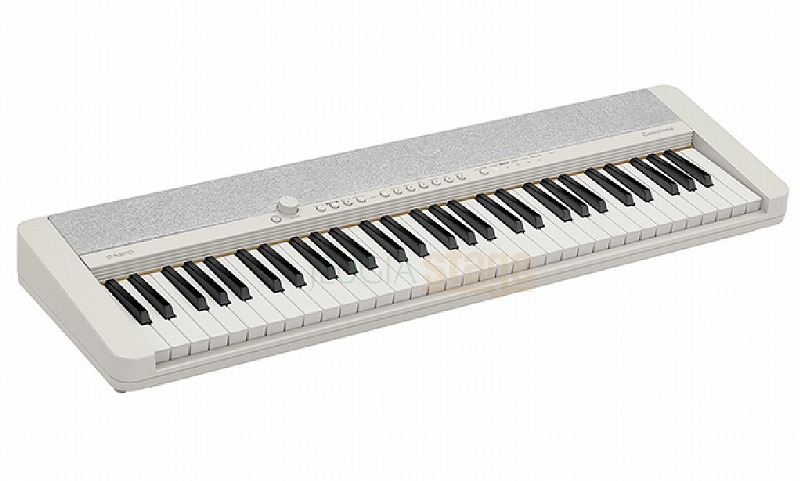 楽天市場】CASIO Casiotone CT-S1 WE WHITEカシオ カシオトーン