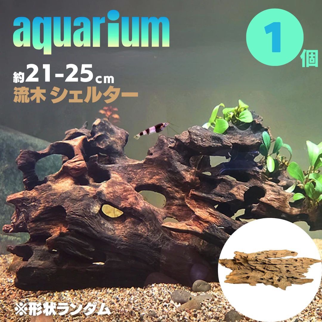 アクアリウムシェルター（熱帯魚）