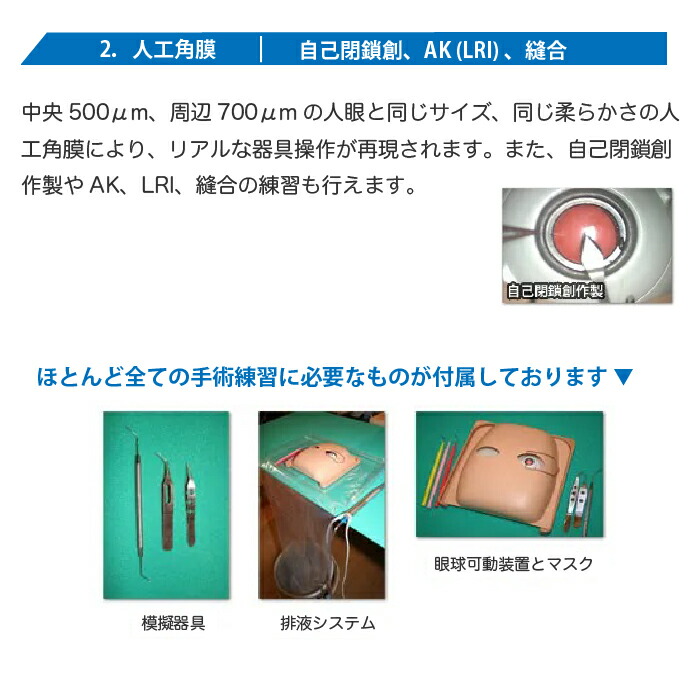 楽天市場】机太郎ウェットラボ模型 OM008 白内障手術練習用模擬眼 眼科