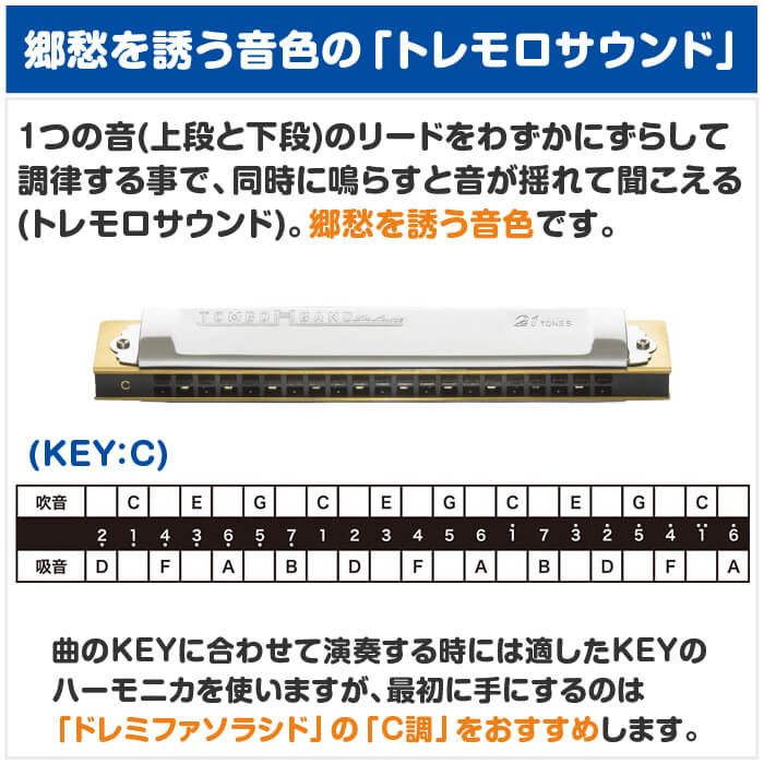 トンボバンド デラックス No.1521 ハーモニカCメジャーハ長調 楽天