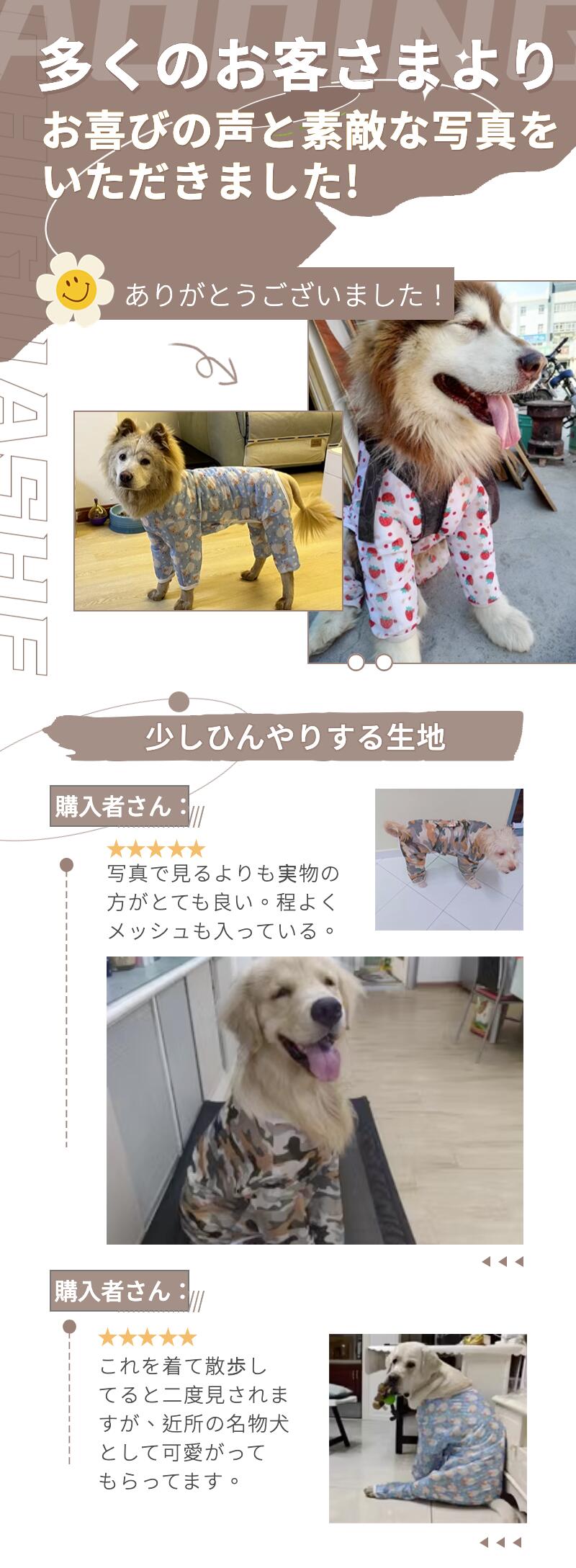 楽天市場】【楽天1位】中大型犬の服 春夏秋冬 超大型犬洋服 術後服 術