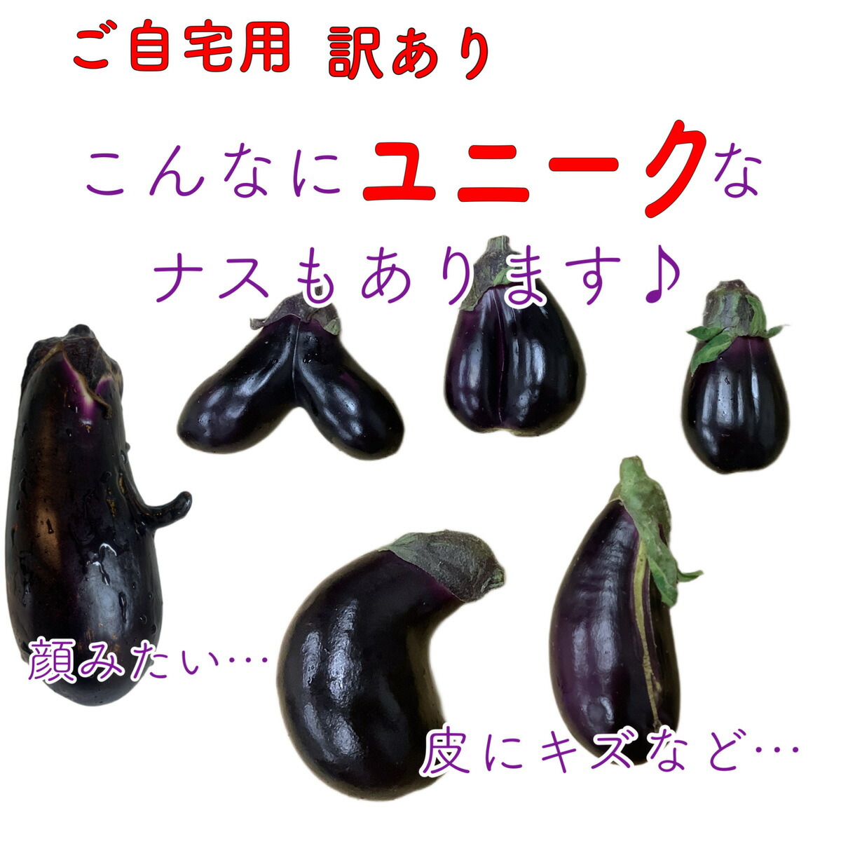 楽天市場】高知県産 なす 茄子 なすび ナス 訳あり 1kg 国産 わけあり