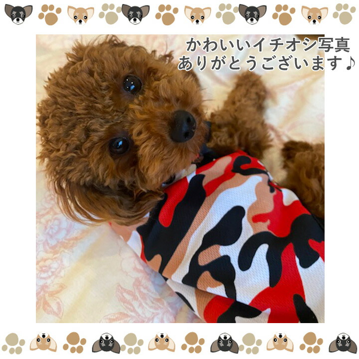 楽天市場】犬 服 犬服 犬の服 【はっぴーDOG】 タンクトップ 袖なし