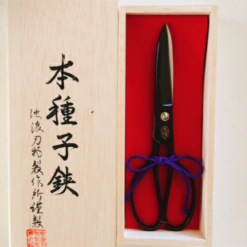 種子鋏 本種子鋏 骨董 ヴィンテージ アンティーク ハサミ はさみ