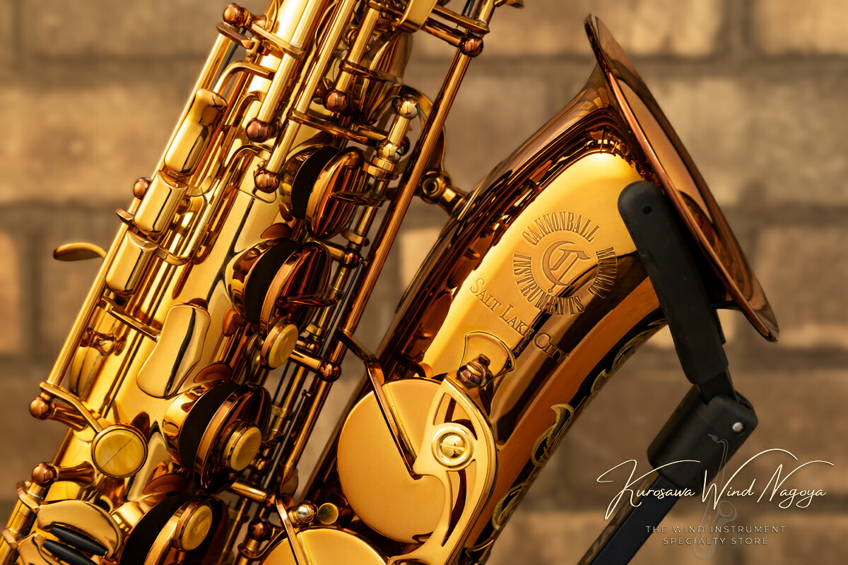 楽天市場】CANNONBALL AVR-L “Vintage Reborn Series” 【キャノン