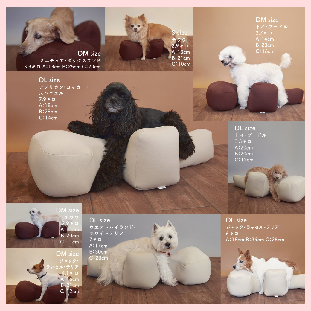 楽天市場】アロン化成 OneAid ワンエイド リラクッション ブラウン S