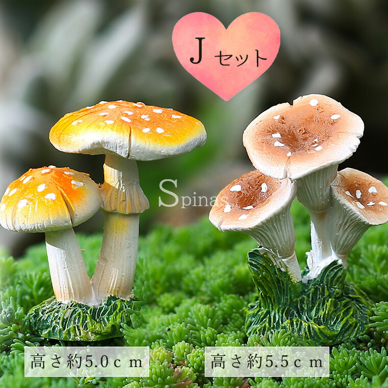 楽天市場】絵本みたいなキノコ2種セット 苔玉 多肉 ミニチュア