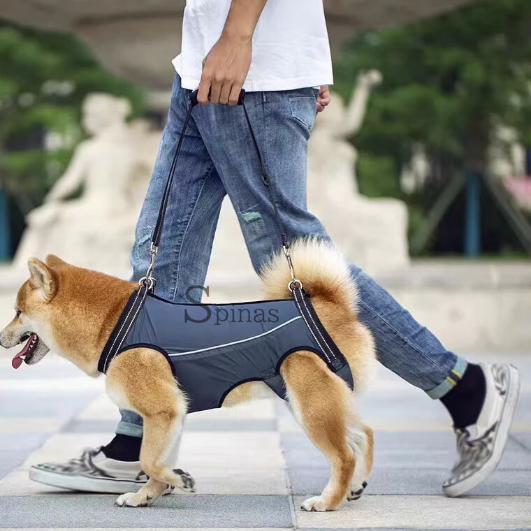 楽天市場】超大型犬サイズあり 通年使える 全体支える 歩行補助ベルト