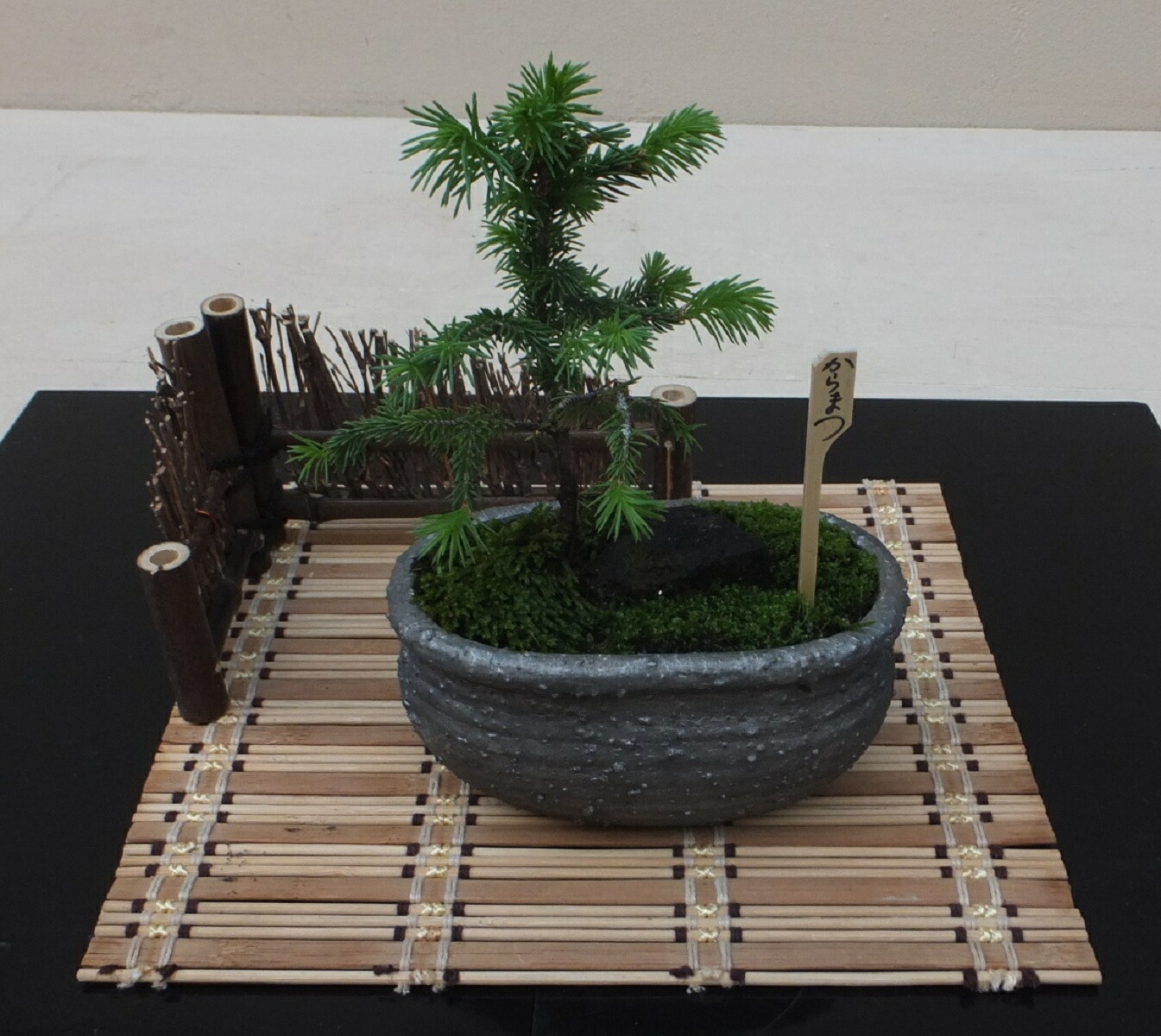 380 盆栽 盆栽鉢 植木鉢 和鉢 美功 380 盆栽 盆栽鉢 植木鉢 和鉢 美功