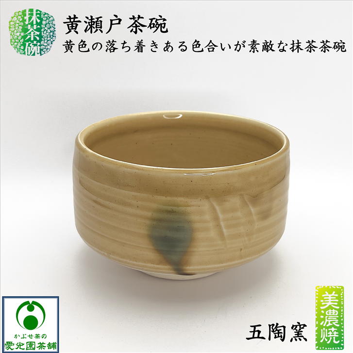 楽天市場】黄瀬戸茶碗 抹茶碗 美濃焼 五陶窯 陶器 抹茶々碗 抹茶茶碗