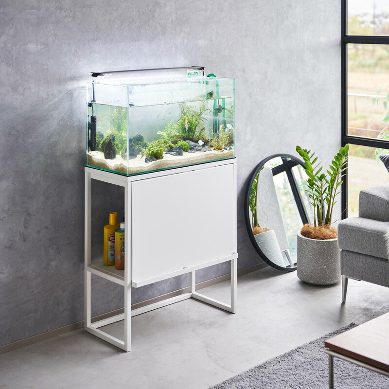 sale 高級水槽ADA 60cm セットおまけたくさん。