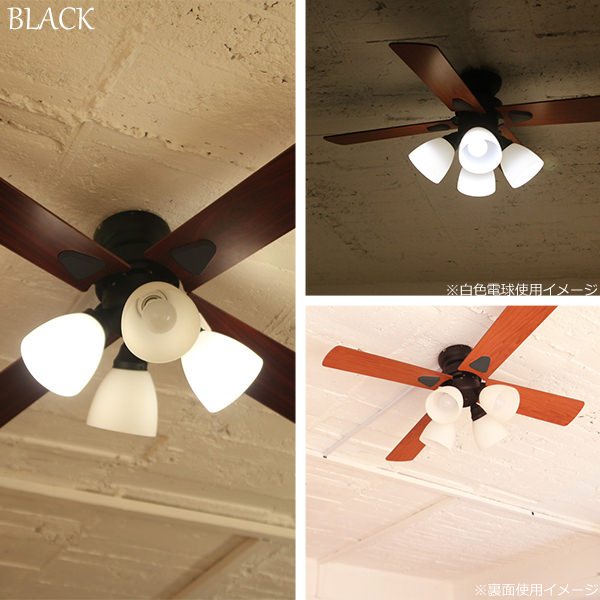 楽天市場】【レビュー特典】 『 シーリングファン Windouble (ウィン