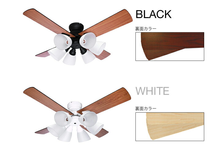 楽天市場】【レビュー特典】 『 シーリングファン Windouble ウィン