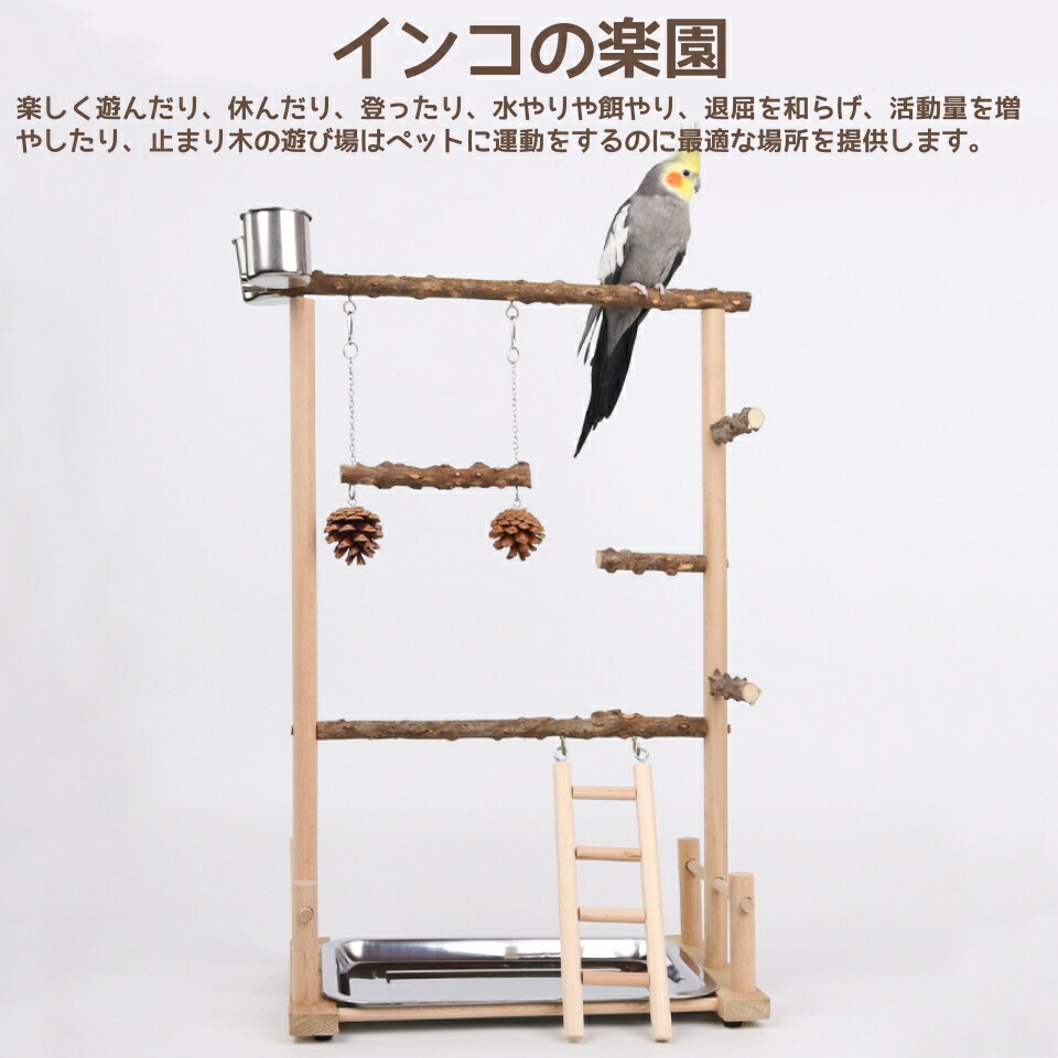 楽天市場】【期間限定×P5倍】インコ 遊び場 バード おもちゃ