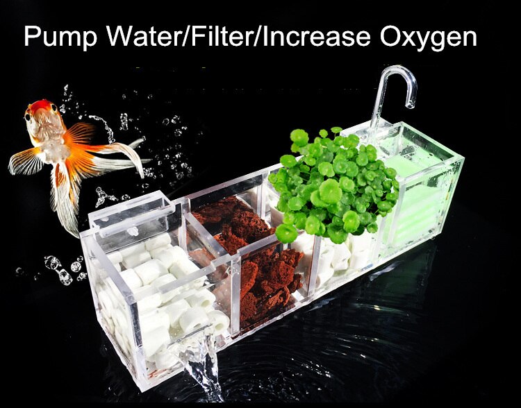 楽天市場】＼P2倍☆2/14まで／[楽天1位]【送料無料】水族館 外部