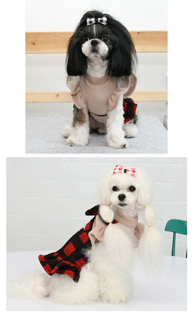 楽天市場】【犬 服】フリルスリーブワンピース : 鎌倉DOG2号店