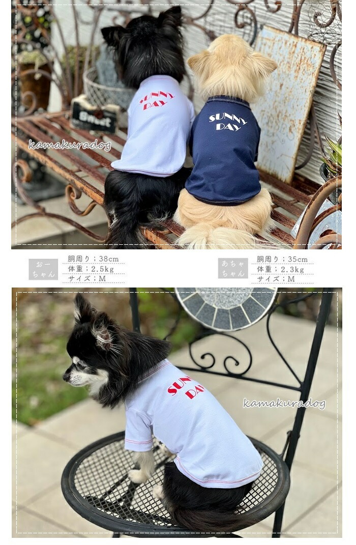 楽天市場】【犬の服】SUNNY DAYシャツ : 鎌倉DOG2号店
