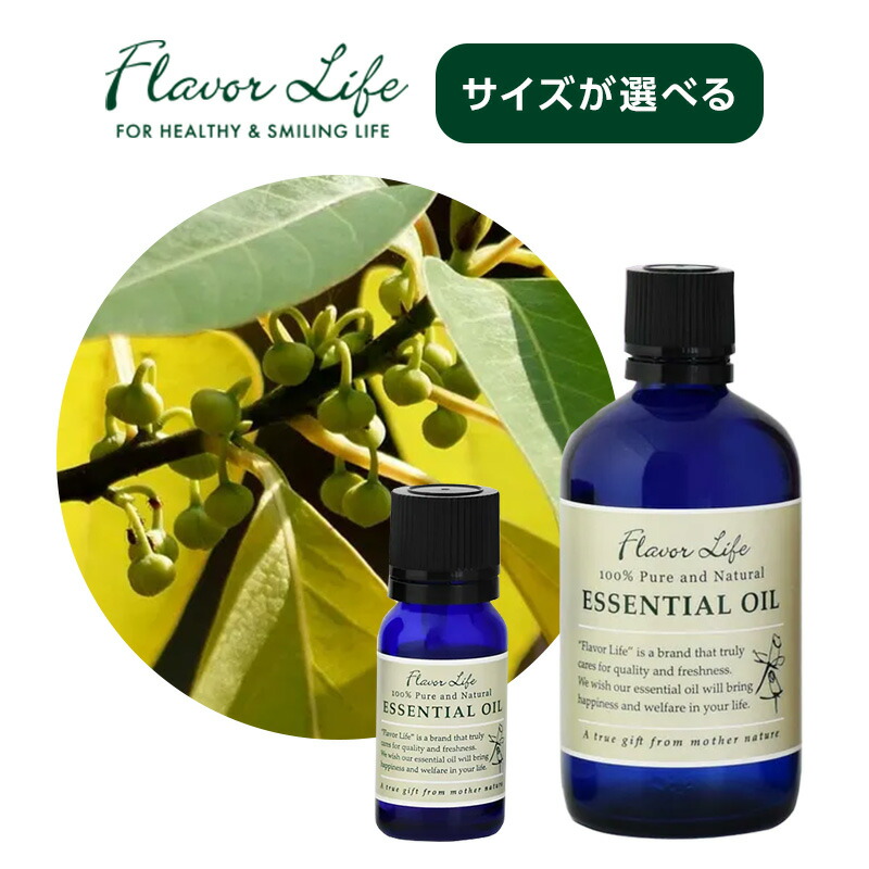 専用 メイルセンジュ 180本 楽天市場】メイルセンジュの通販