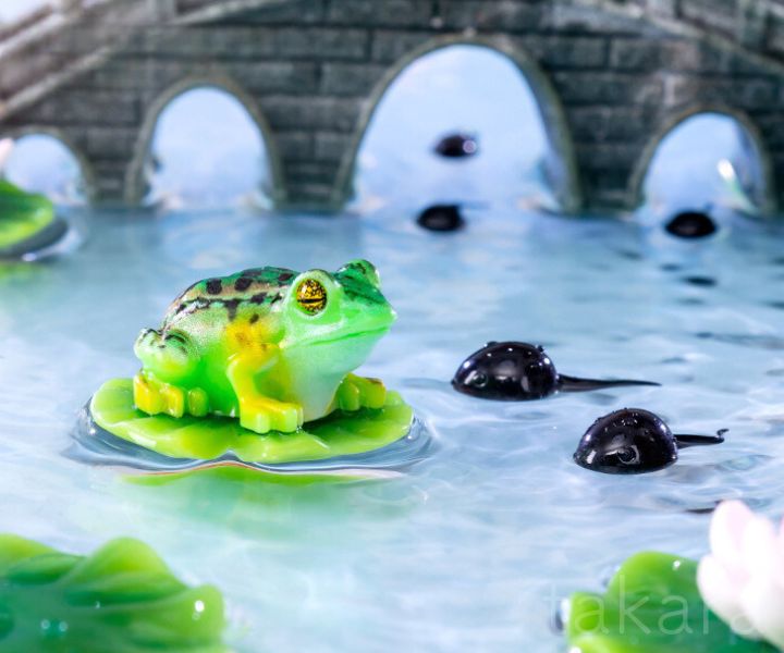 楽天市場】カエル オタマジャクシ ハスの花 かえる 動物 フィギュア