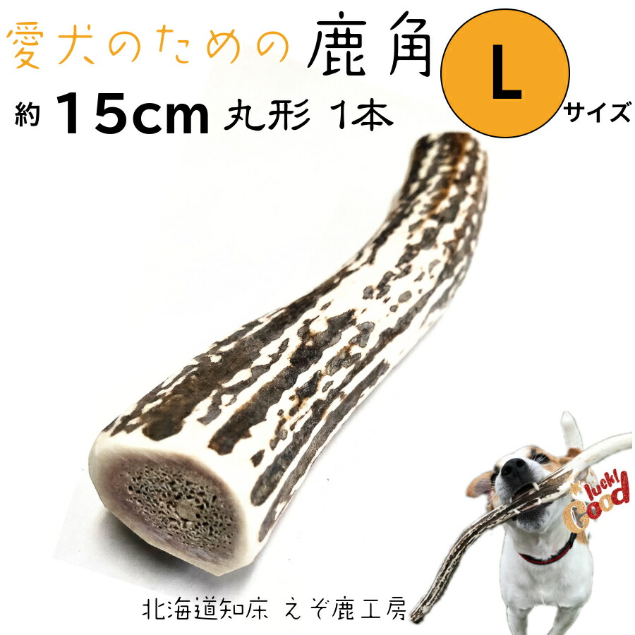 エゾ鹿のツノ 20本 Sushiエゾシカのツノ20本分 エゾシカ 蝦夷鹿 鹿ツノ