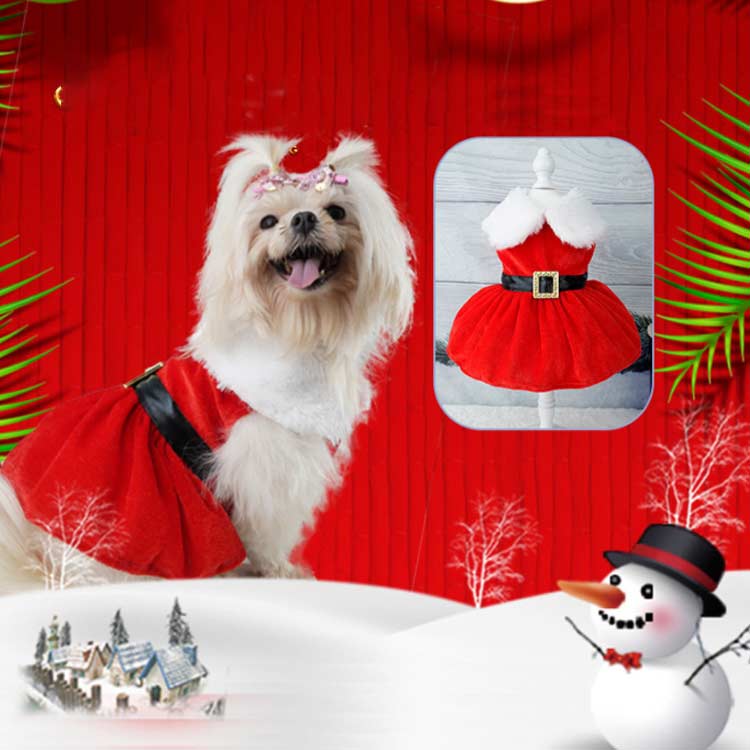 楽天市場】犬の服 クリスマス衣装 ワンピース ドレス 可愛い ペット