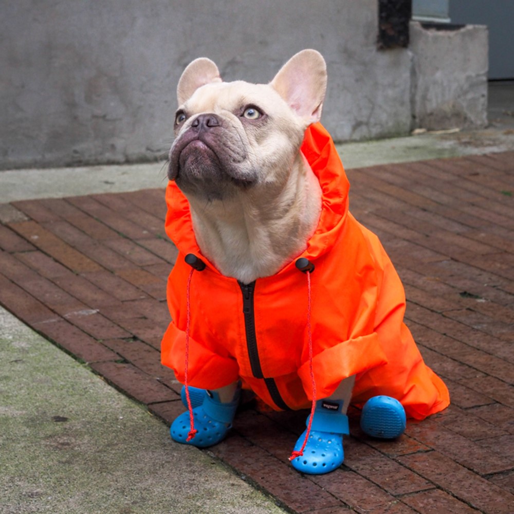 楽天市場】《3,980円以上で送料無料》ワグウェア ワグウェリーズ