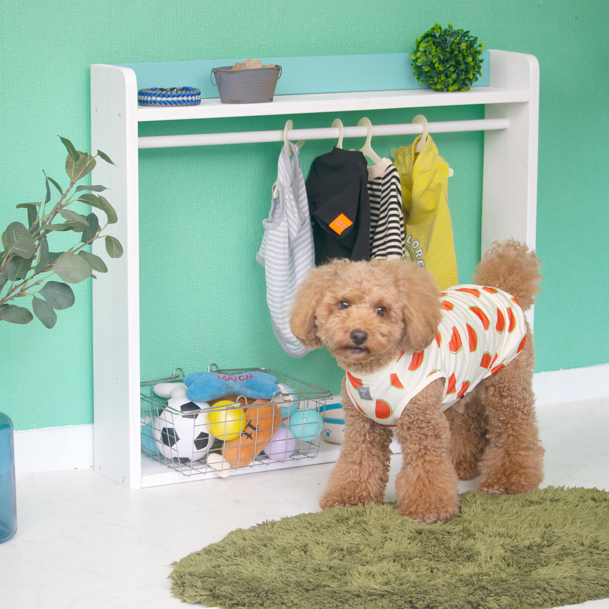 楽天市場】ペット ハンガー ラック 木製 名入れ 無料 犬 服 洋服ラック