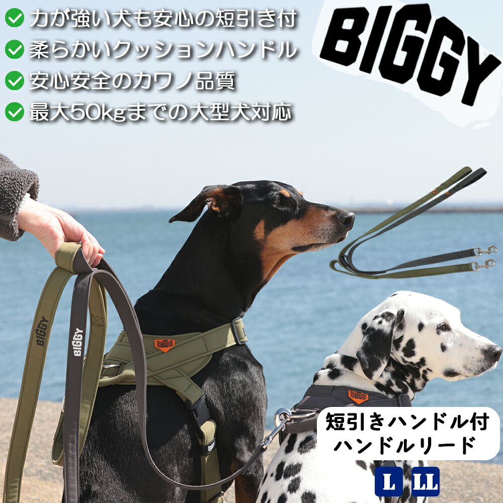 楽天市場】※2月マラソンありがとうクーポン リード【大型犬向け