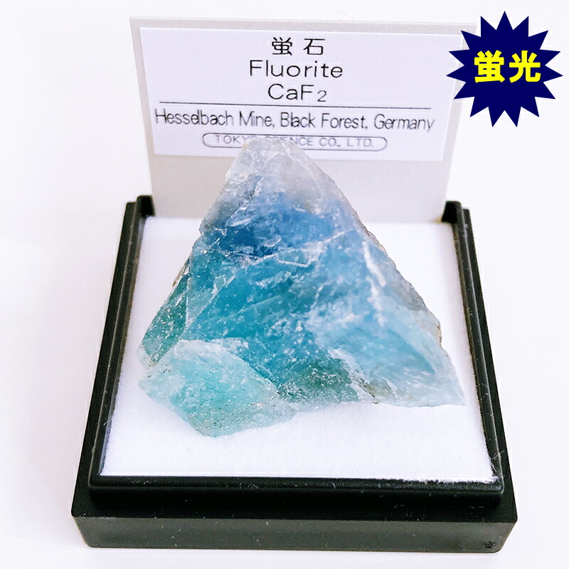 楽天市場】蛍石 （ドイツ） 蛍光鉱物 標本 東京サイエンス ミニ鉱物