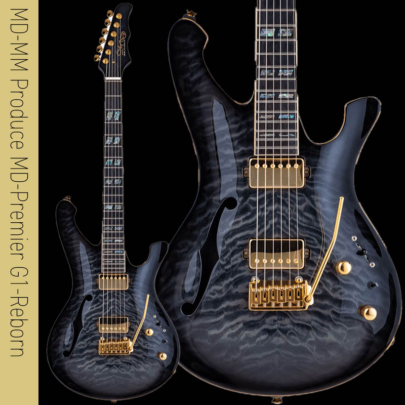 楽天市場】SX Guitars STL/H (NA) | エスエックスギターズ エレキ