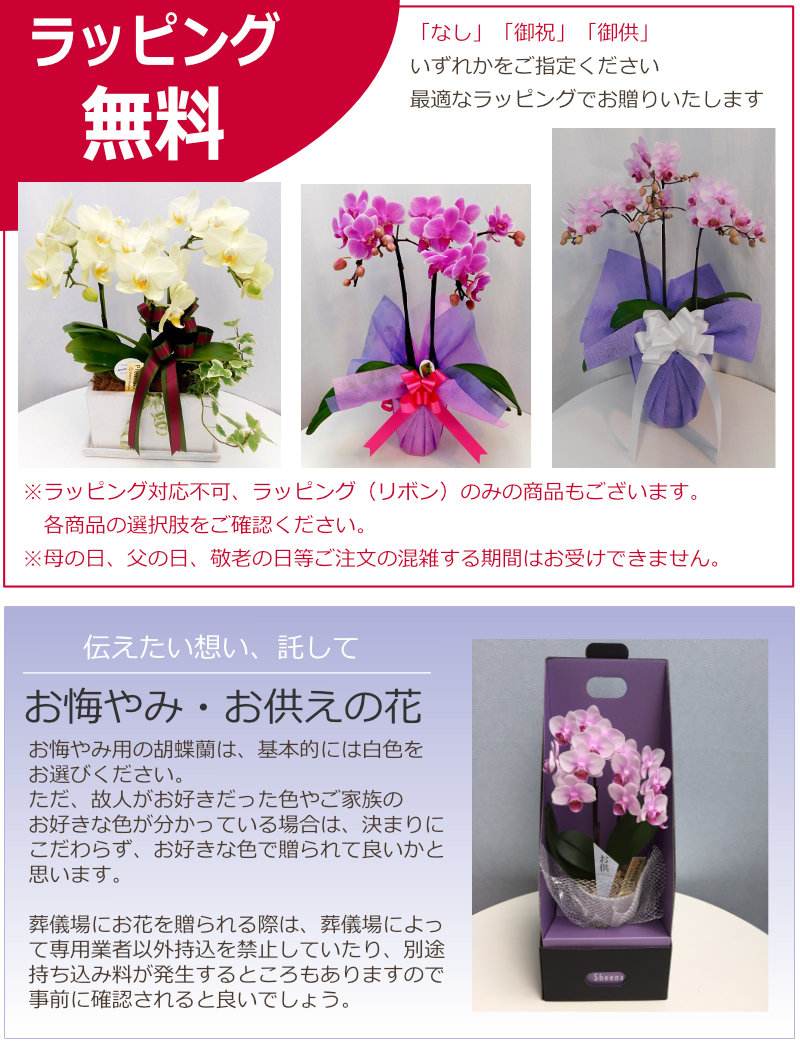 即購入⭕️】GReeeeN gre4nboyz 緑一色歌合戦 トロフィー レア 即購入