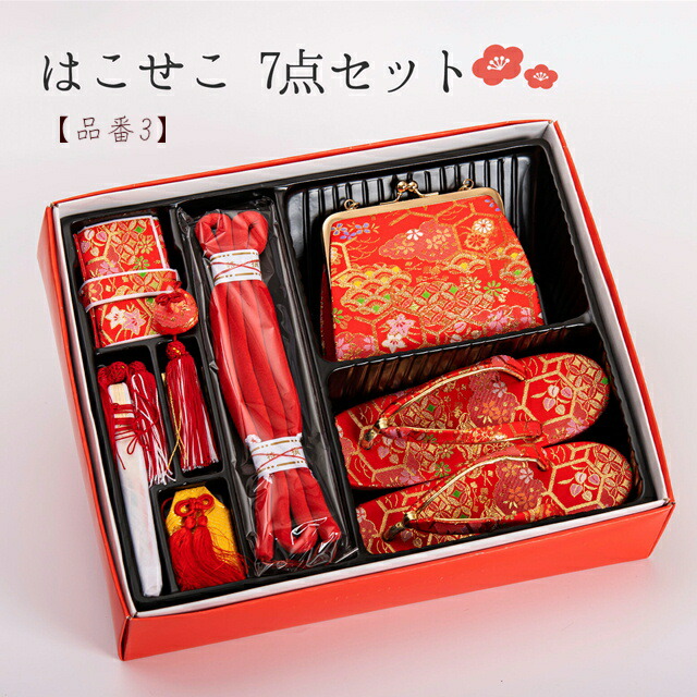 タツエもん様 筥迫セット 赤（紗綾型 ハコセコセットピンク 計10点まとめ
