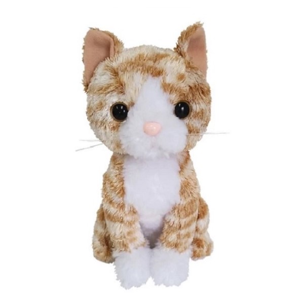 楽天市場】【クーポン最大600円OFF!】在庫あり!!【定形外送料無料】猫