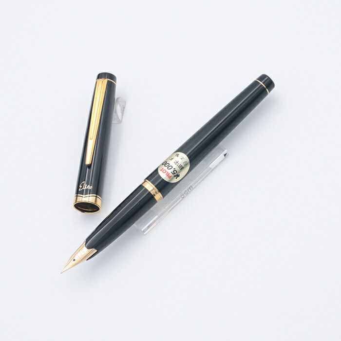 パイロットエリートelite 格子万年筆ペン先18K 750 F