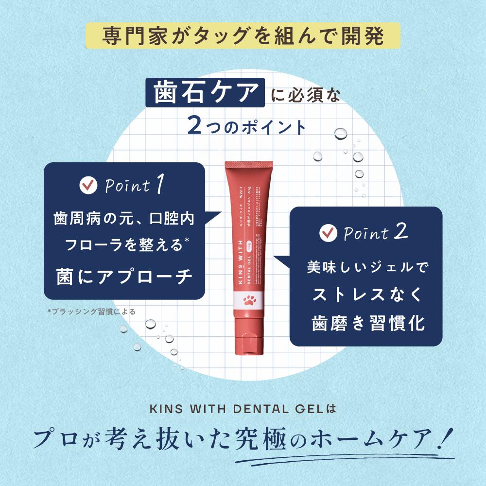 楽天市場】【ポイント10倍 2/4 20:00 - 2/10 1:59】【公式】 KINS WITH