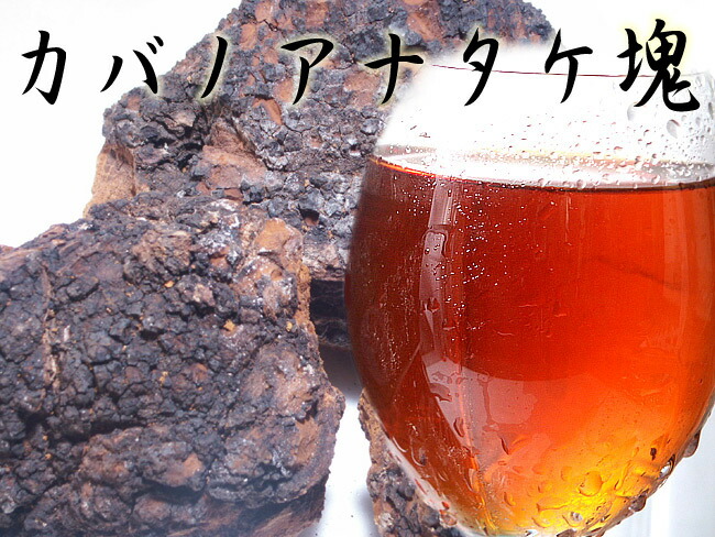 楽天市場】カバノアナタケ茶塊≪原体≫2.1kg【700g×3袋セット】≪業務