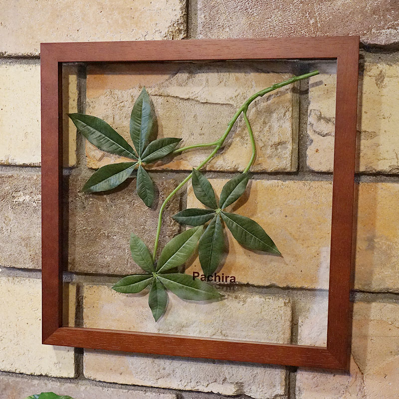 Dr. capa 「金運の木」絵画 フレーム付き コレクション Amazon.co.jp