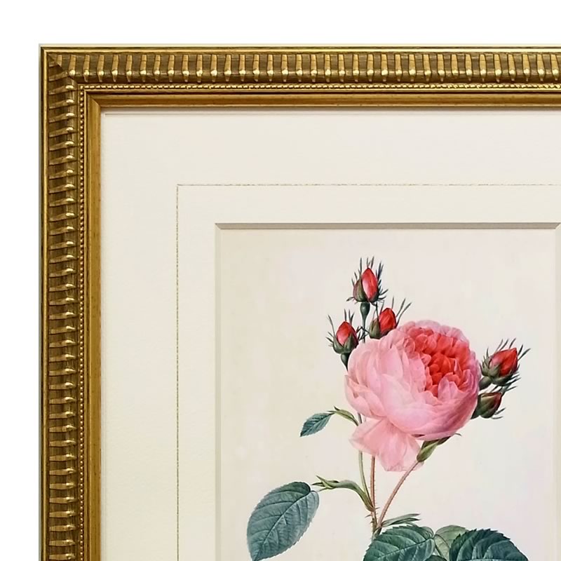 楽天市場】絵画 インテリア ルドゥーテ ローズ 絵額 複製画 『 バラ