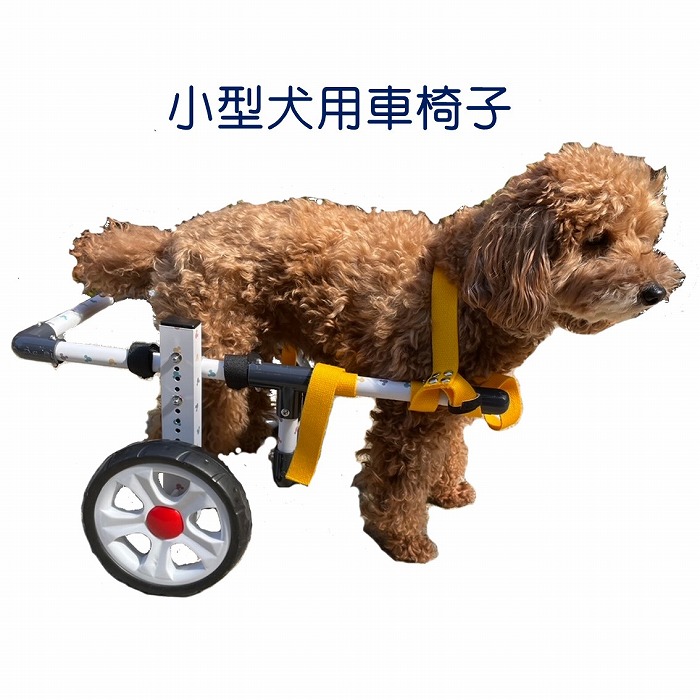 楽天市場】小型犬用車椅子 : 北村雑貨店