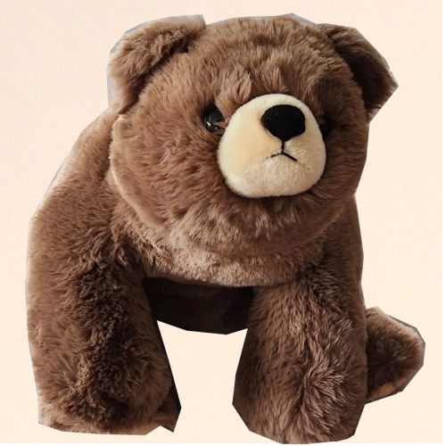 楽天市場】＜特別送料込＞ くったりくまぬいぐるみL茶色 同梱可です