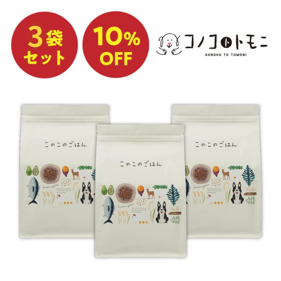 このこのごはん 4袋セット 賞味期限2025年5月