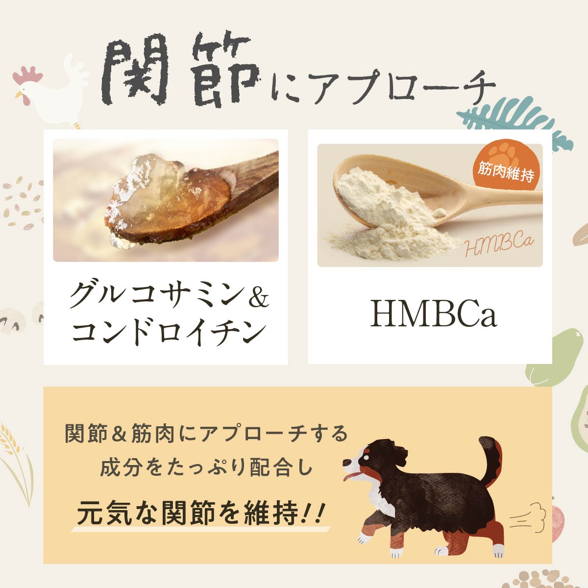 大型犬のためのこのこのごはん 3kg×2 大型犬のためのこのこのごはん