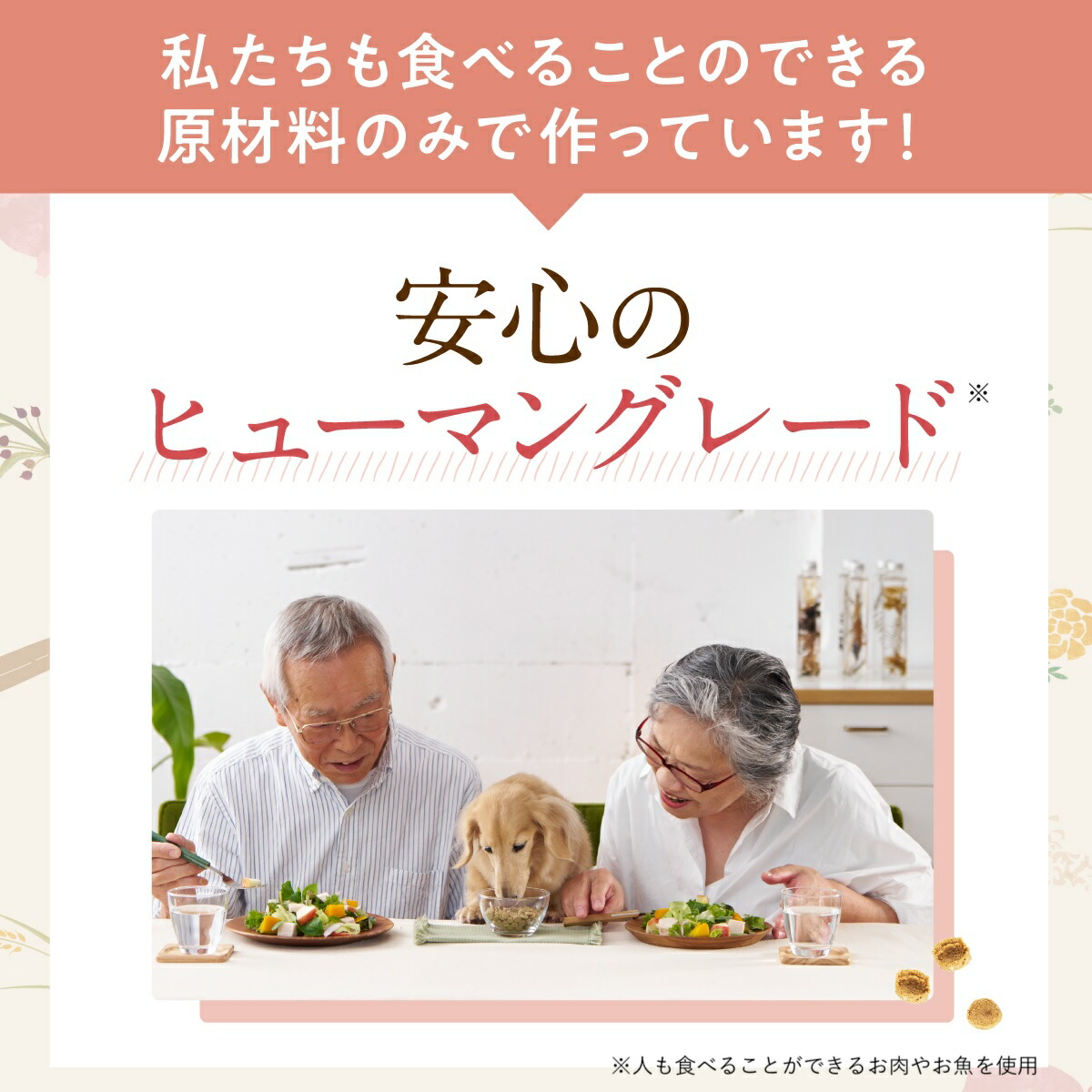 楽天市場】【 公式 】 シニアのための このこのごはん コノコトトモニ